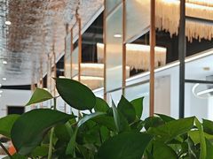 -太湖人家·喝土鸡汤·品太湖三白(动物园店)