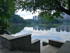 -重庆彩云湖湿地公园
