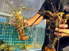 -阳江餐厅·30年老字号·粤菜海鲜大排档