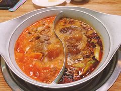 -青瓷火锅料理(西单大悦城店)
