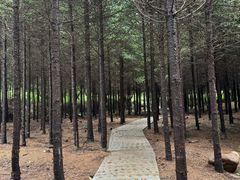 -三块石国家森林公园
