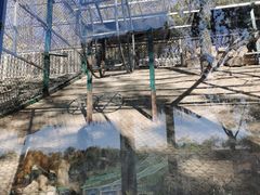 -北京鹿世界主题园