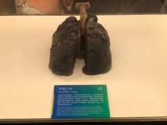 -生命奥秘博物馆