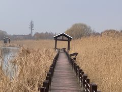 -苏州太湖湖滨国家湿地公园