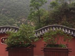 -太平万花山景区