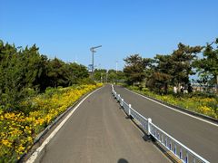 -青岛金沙滩