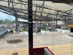 -移动谜城·大笨象密室逃脱(五棵松店)