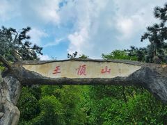-王顺山国家森林公园