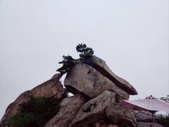-华山风景名胜区