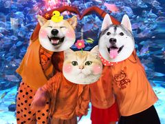 -成都浩海立方海洋公园