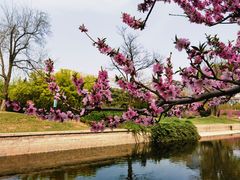 -元大都城垣遗址公园