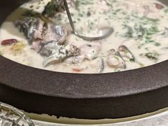 -鲜潭蒸汽石锅鱼(五道口购物中心店)