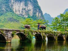 -靖西鹅泉风景区