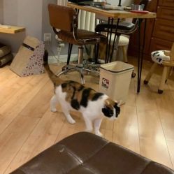 -沫儿·美甲美睫·半永久·皮肤管理