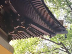 -亭林园-华藏寺