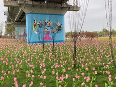 -枫林花海