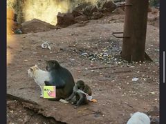 -昆明动物园