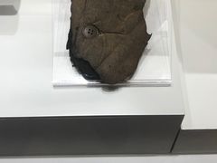 -中国人民革命军事博物馆