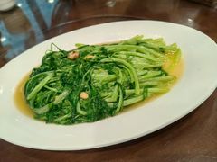 炒应菜-长平肥姐白粥·海鲜打冷