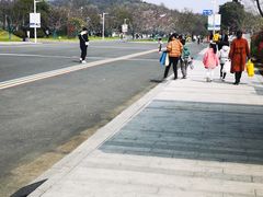 -羊山湖公园