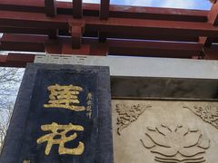 -莲花池公园