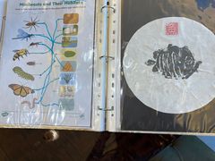 -卓悦童国际幼儿园