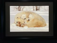 -罗红摄影艺术馆