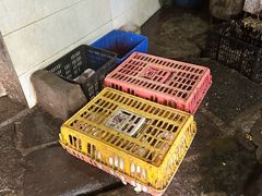 -陈有良尖椒鸡(江津总店)