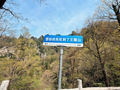 -王顺山国家森林公园