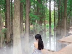 -东湖落雁景区