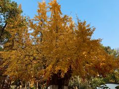 -桤木河湿地公园