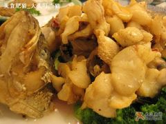 风味鲈鱼卷-惠爱餐厅