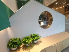 -飞行喵MR PILOT|猫舍·猫咖(静安大融城店)