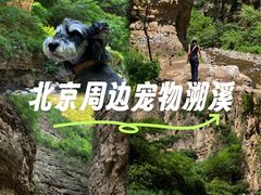-龙门涧景区
