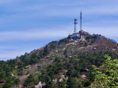 -鲁山国家森林公园