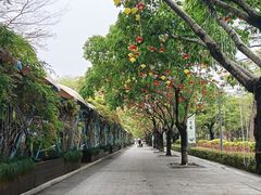 -厦门园林博览苑