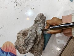 -世界恐龙谷景区