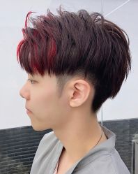 -IDOL-PLUS