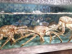 -宝燕壹号(长寿店)