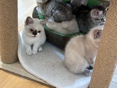 -觅时光手作·香薰·拼豆豆·陶艺DIY