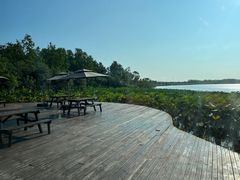 -东滩湿地公园观海楼餐厅