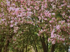 -元大都城垣遗址公园