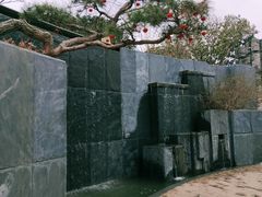 -朴园