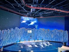 -珠海长隆海洋王国