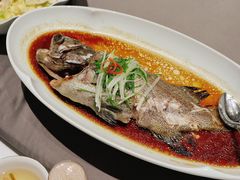 清蒸青石斑-悦秀·高级粤菜
