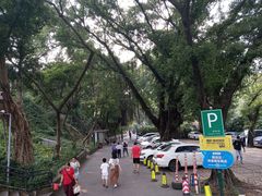 -晓港公园