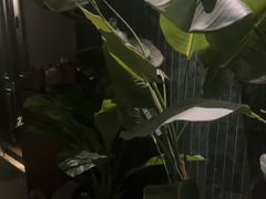 -涟LIAN·泰式按摩·MASSAGE·SPA(华强北店)