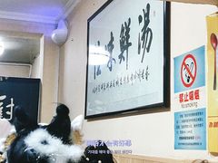 -陈掌柜澄城水盆羊肉(钟楼店)