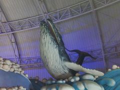 -烟台海昌鲸鲨海洋公园