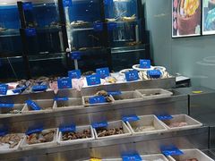 -品味居·首店·大连鲜活海鲜大连菜(东港店)